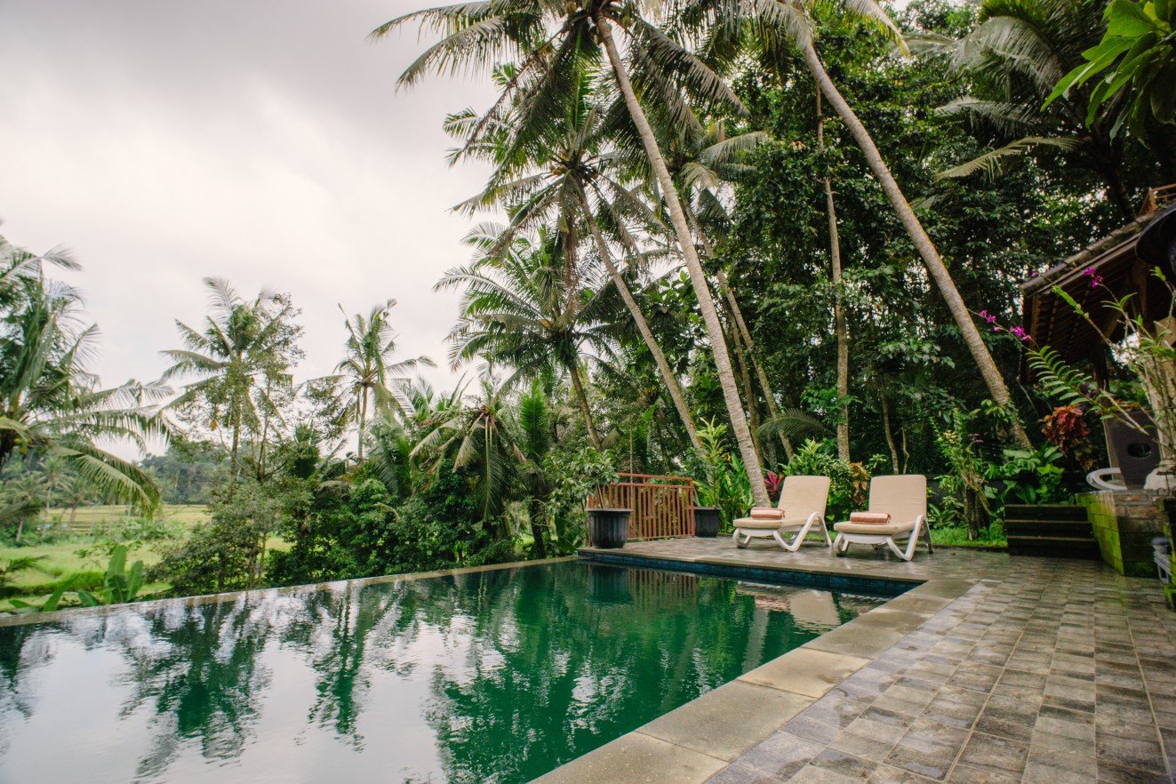 Swimming Pool - Anggrek Sari Villa4