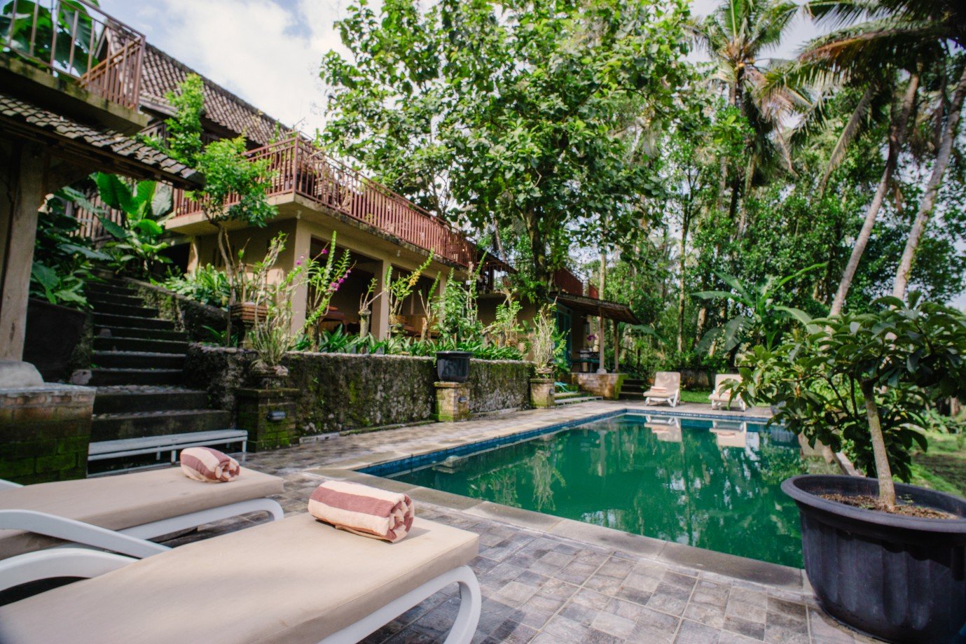 Swimming Pool - Anggrek Sari Villa8